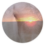 Palomino Horse in Sunrise Round Stickers