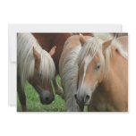 Palomino Horse Invitation