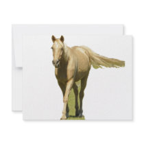 Palomino Horse invitations