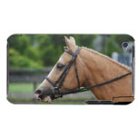 Palomino Horse iTouch Case Case-Mate iPod Touch Case