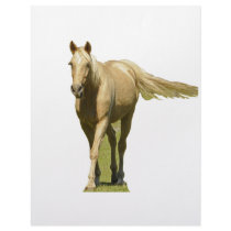 Palomino Horse letterhead