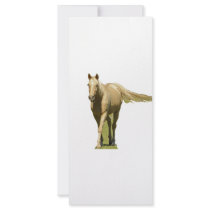 Palomino Horse Personalized Rack Card