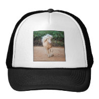 Palomino Horse Trucker Hats