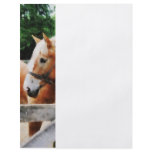 Palomino in Paddock Flyer Design