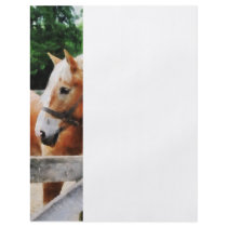 Palomino in Paddock Flyer Design