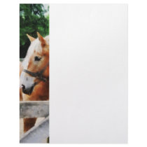 Palomino in Paddock Personalized Letterhead