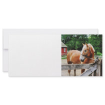Palomino in Paddock Custom Rack Cards