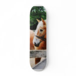 Palomino in Paddock Custom Skate Board
