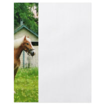 Palomino in Pasture Full Color Flyer