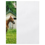 Palomino in Pasture flyers