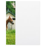 Palomino in Pasture Letterhead Template