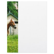 Palomino in Pasture Letterhead Template