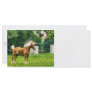 Palomino in Pasture Rack Card Template