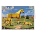 Palomino Mare and Colts cards by CowgirlCafeOnline Palomino Mare and Colts cards