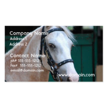 Palomino Paso Fino  Business Card