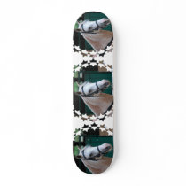 Palomino Paso Fino  Skateboard