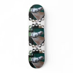 Palomino Paso Fino  Skateboard