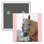 Palomino Pic Pins