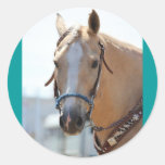 Palomino Pic Stickers