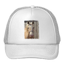 Palomino Pony Baseball Hat
