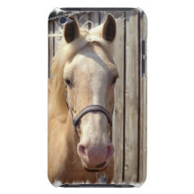 Palomino Pony iTouch Case Barely There iPod Case