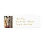 Palomino Pony Mailing Label
