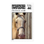Palomino Pony Postage Stamp