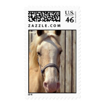 Palomino Pony Postage Stamp