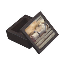 Palomino Pony Premium Gift Box