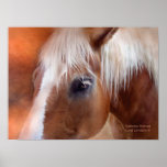 Palomino Portrait Art Poster/Print