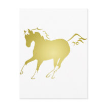 Palomino Postcards