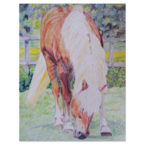 Palomino Princess letterhead