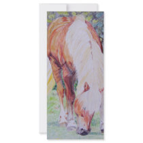 Palomino Princess rack cards by aixie1975 Palomino Princess rack cards