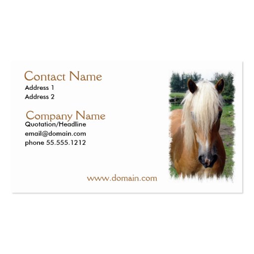 Palomino Quarter Horse Business Card