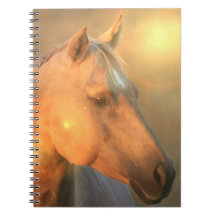 Palomino Sunlight Design Notebook