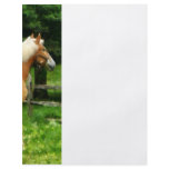 Palomino Walking Away flyers