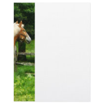 Palomino Walking Away Customized Letterhead