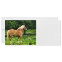 Palomino Walking Away Customized Rack Card