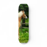 Palomino Walking Away Skate Boards