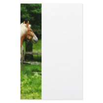 Palomino Walking Away Customized Stationery