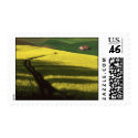 Palouse Canola in Bloom postage