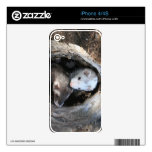 Pals iPhone 4 Skin