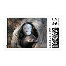 Pals Stamp