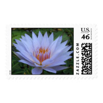 Pamela postage