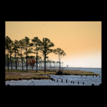 Pamlico Sound posters