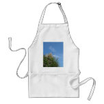 pampas grass and blue sky aprons