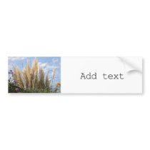 pampas grass and blue sky bumper stickers