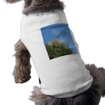 pampas grass and blue sky dog tshirt
