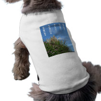 pampas grass and blue sky dog t-shirt