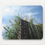 pampas grass and blue sky mousepads